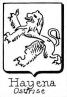 Hayena Coat of Arms / Family Crest 0