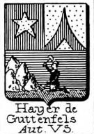 Hayer Coat of Arms / Family Crest 1