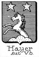 Hayer Coat of Arms / Family Crest 0