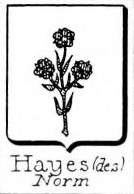 Hayes Coat of Arms / Family Crest 3