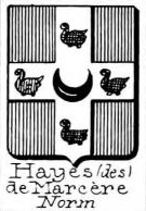 Hayes Coat of Arms / Family Crest 12