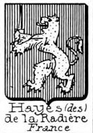 Hayes Coat of Arms / Family Crest 13