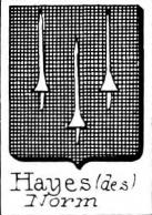 Hayes Coat of Arms / Family Crest 4