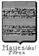 Hayes Coat of Arms / Family Crest 6