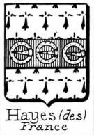 Hayes Coat of Arms / Family Crest 7