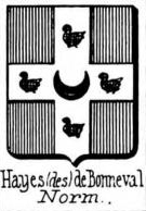 Hayes Coat of Arms / Family Crest 8