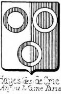 Hayes Coat of Arms / Family Crest 9