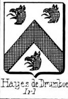 Hayes Coat of Arms / Family Crest 10