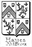 Hayes Coat of Arms / Family Crest 2