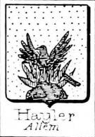 Hayler Coat of Arms / Family Crest 0