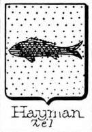 Hayman Coat of Arms / Family Crest 3