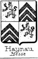 Haynau