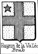 Haynin Coat of Arms / Family Crest 1