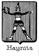 Haynitz Coat of Arms / Family Crest 0