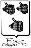 Hayr Coat of Arms / Family Crest 0