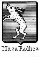 Haza Coat of Arms / Family Crest 0