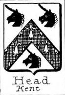 Head Coat of Arms / Family Crest 1