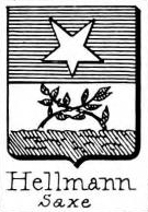 Hellmann Coat of Arms / Family Crest 0