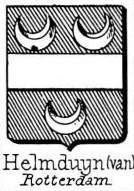 Helmduyn Coat of Arms / Family Crest 0