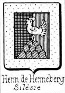 Henn Coat of Arms / Family Crest 2