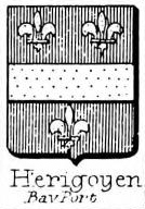 Herigoyen Coat of Arms / Family Crest 0