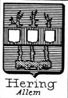 Hering Coat of Arms / Family Crest 2