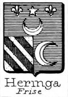 Heringa Coat of Arms / Family Crest 2