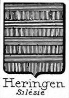Heringen Coat of Arms / Family Crest 7