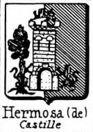 Hermosa Coat of Arms / Family Crest 1