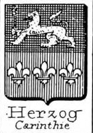 Herzog Coat of Arms / Family Crest 1