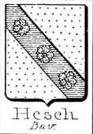 Hesch Coat of Arms / Family Crest 0