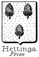 Hettinga Coat of Arms / Family Crest 1