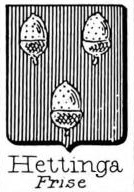 Hettinga Coat of Arms / Family Crest 0