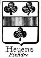 Heyens Coat of Arms / Family Crest 0
