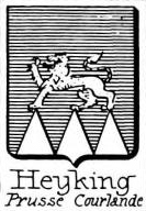 Heyking Coat of Arms / Family Crest 0