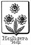Heyligers Coat of Arms / Family Crest 0