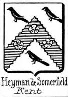 Heyman Coat of Arms / Family Crest 3