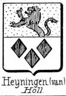 Heyningen Coat of Arms / Family Crest 0