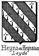 Heyns Coat of Arms / Family Crest 0