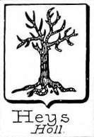 Heys Coat of Arms / Family Crest 2