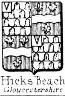 Hicks Coat of Arms / Family Crest 0
