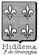 Hiddema Coat of Arms / Family Crest 1