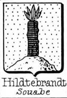 Hildtebrandt Coat of Arms / Family Crest 0
