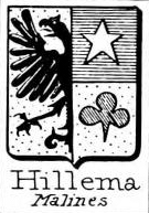 Hillema Coat of Arms / Family Crest 2