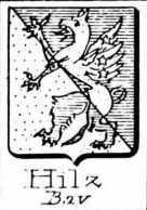 Hilz Coat of Arms / Family Crest 0