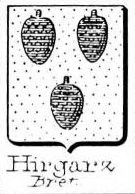 Hirgarz Coat of Arms / Family Crest 0