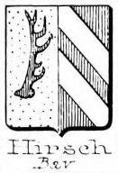 Hirsch Coat of Arms / Family Crest 8