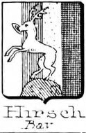 Hirsch Coat of Arms / Family Crest 9