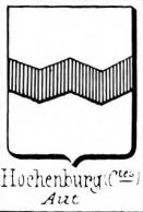Hochenburg Coat of Arms / Family Crest 0