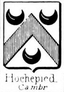 Hochepied Coat of Arms / Family Crest 1